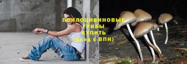 твердый Алзамай