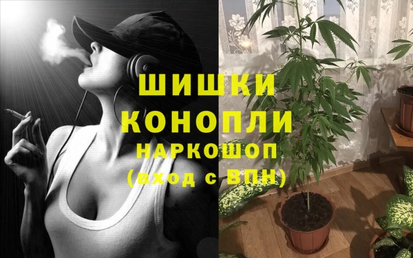 твердый Алзамай
